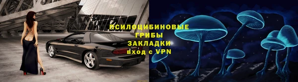 крисы Волоколамск