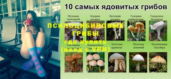 крисы Волоколамск