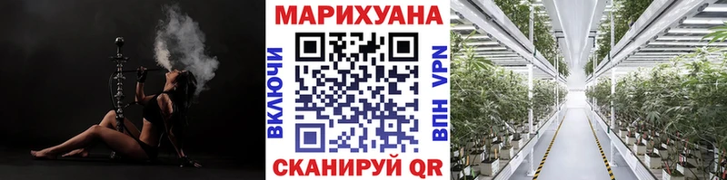 Купить закладки  Новый Оскол  МАРИХУАНА VHQ 